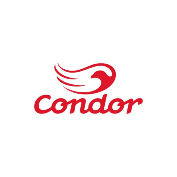 Kit Pinceles Condor Renacimiento
